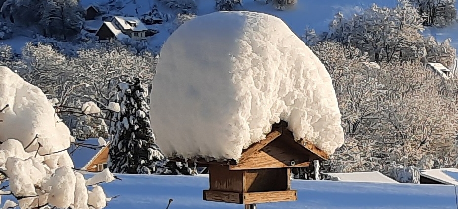 heller-kinesiologie-vogelhaus-16-9
