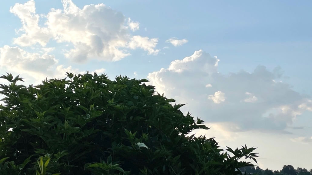 heller-kinesiologie_ade_sommerpause_2021_Beitragsbild_16-9