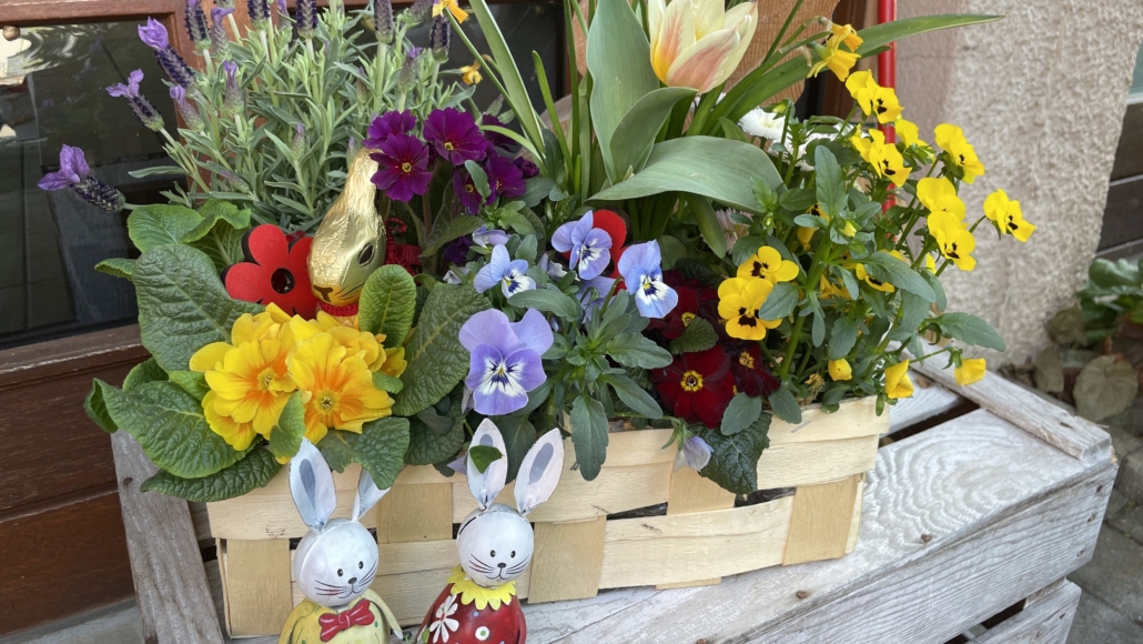 heller-kinesiologie_Ostern_2022_1