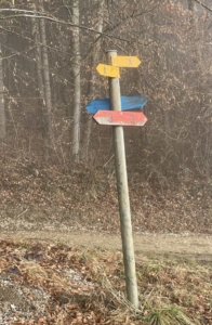 heller-kinesiologie_wegweiser